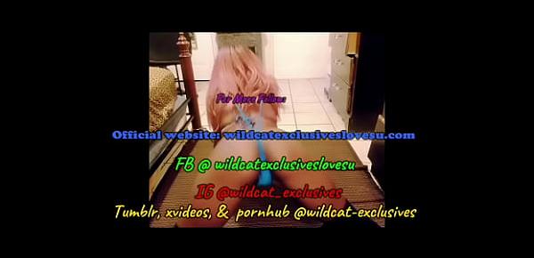 Dancing Wildcat in sexy stripper outfit